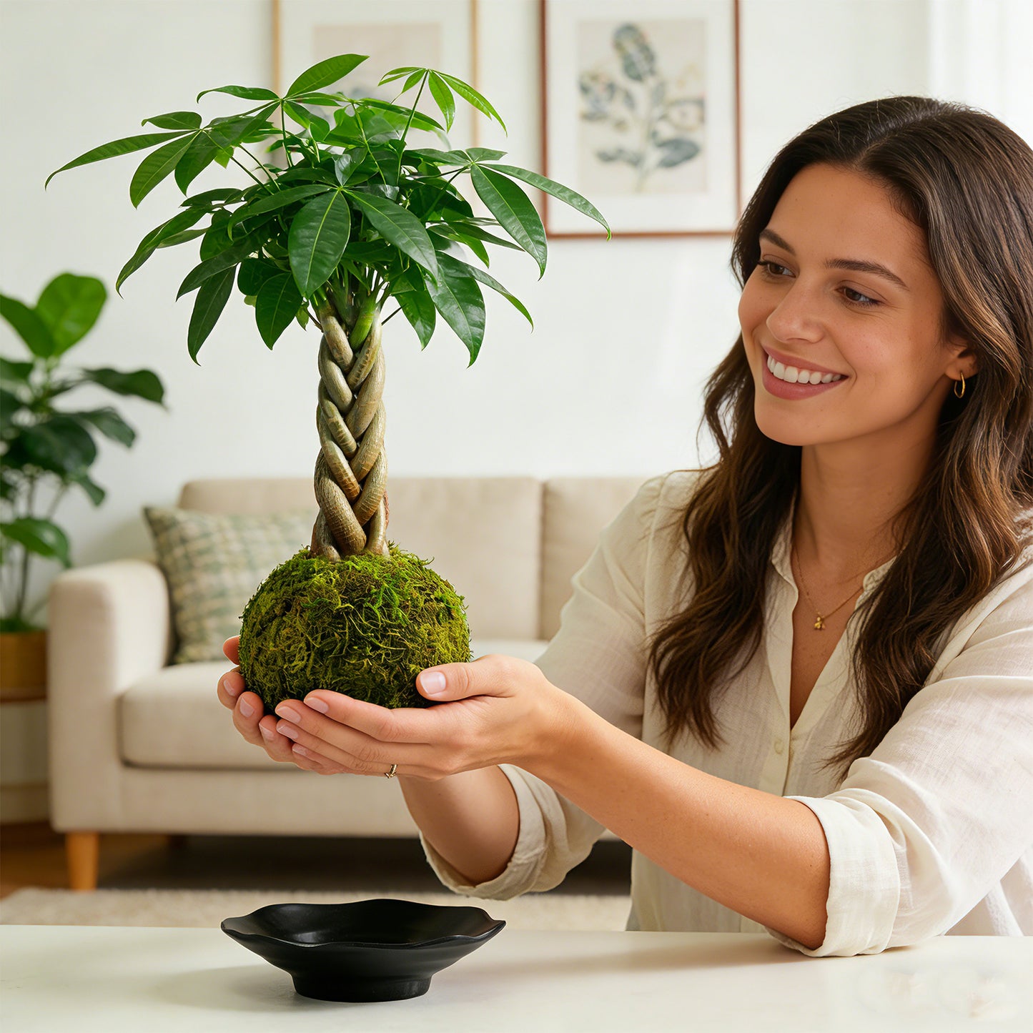 Kokedama Braid Money Tree with Planter Live Moss Ball Money Tree Plant
