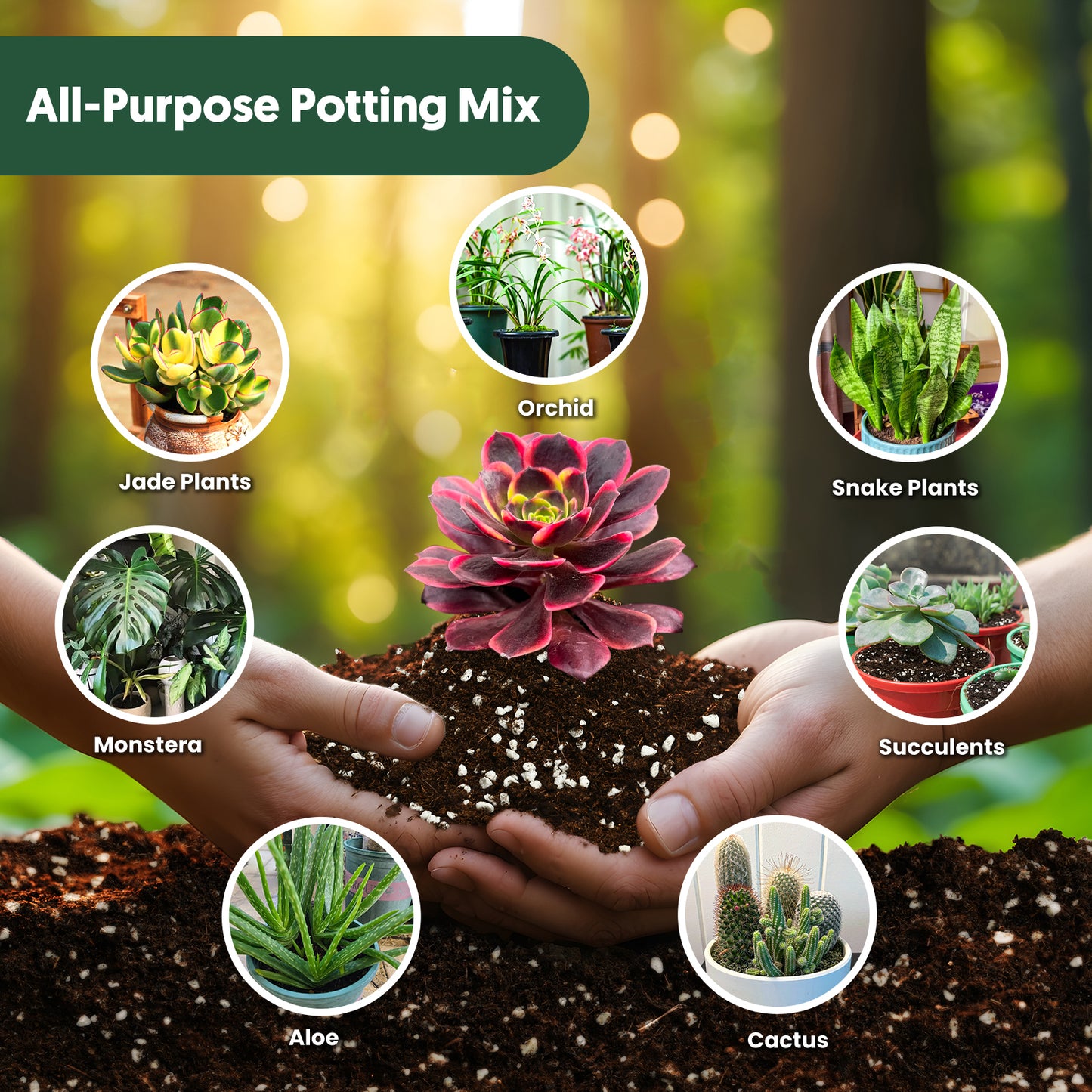 Potting Mix Soil for Container Plants, Flowers, Shrubs, 20qt (10 Bags)