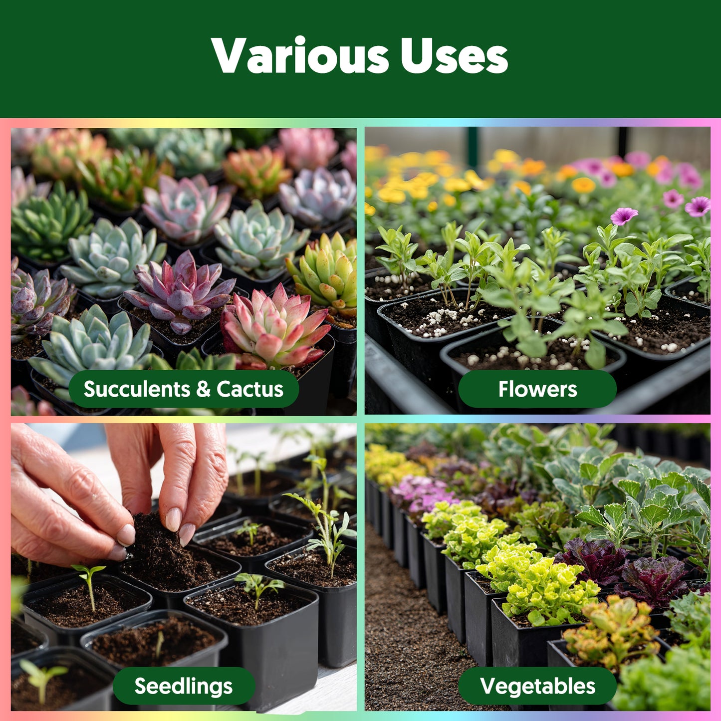 2" Nursery Pots Sets (Only Pots)