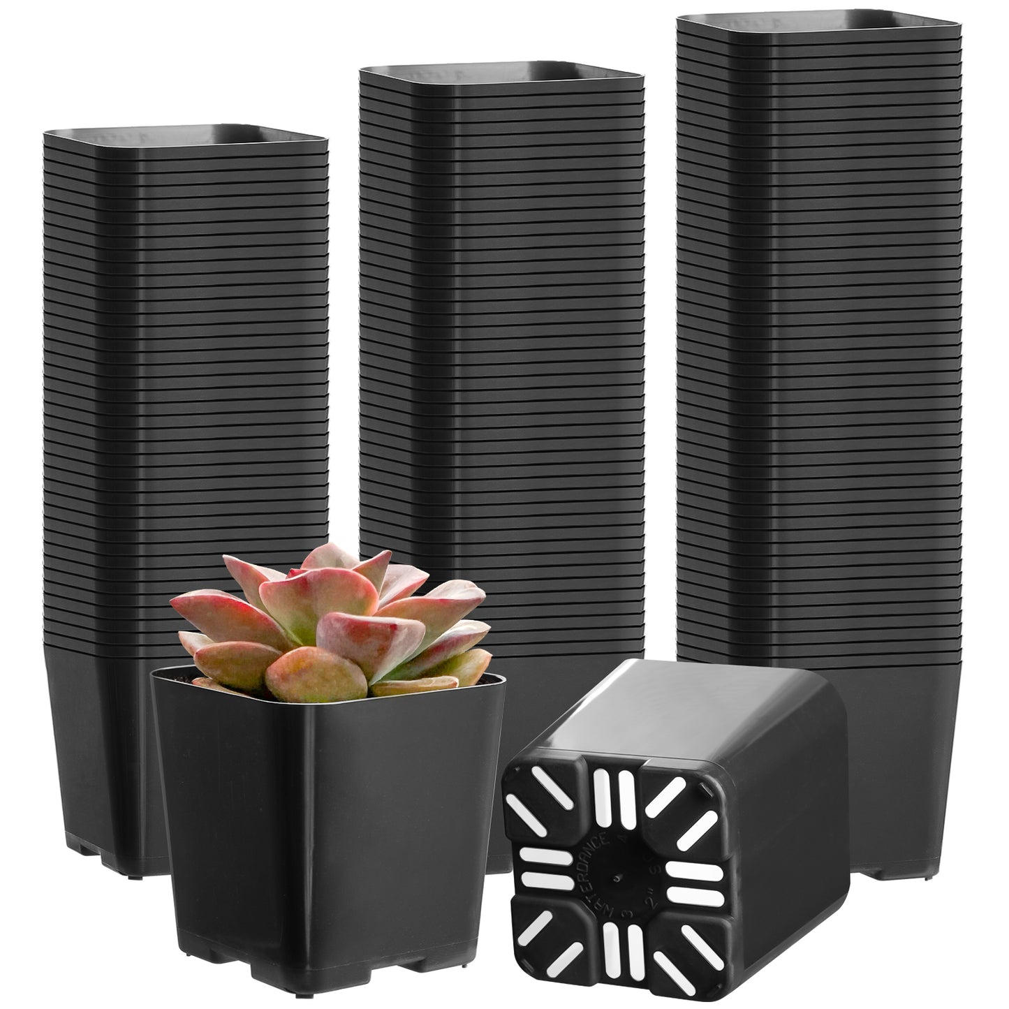 2" Nursery Pots Sets (Only Pots)