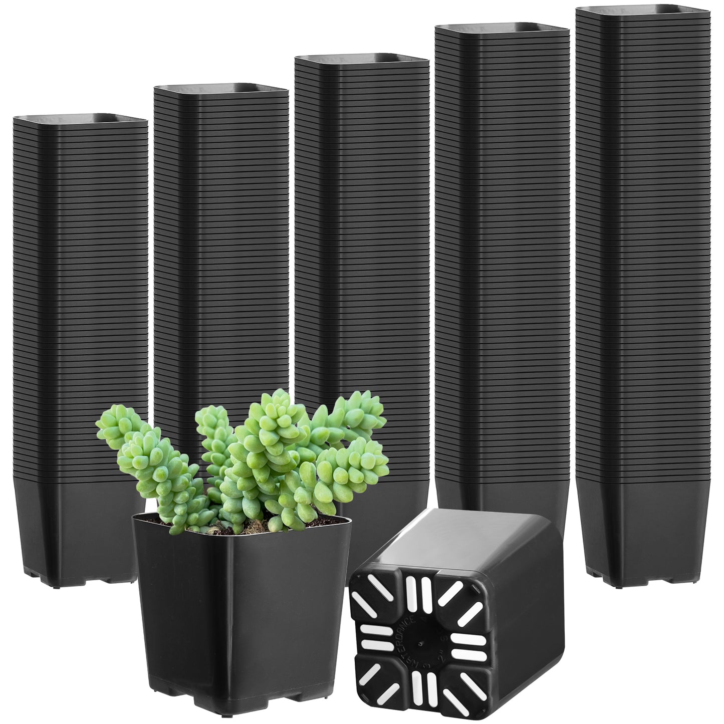 2" Nursery Pots Sets (Only Pots)