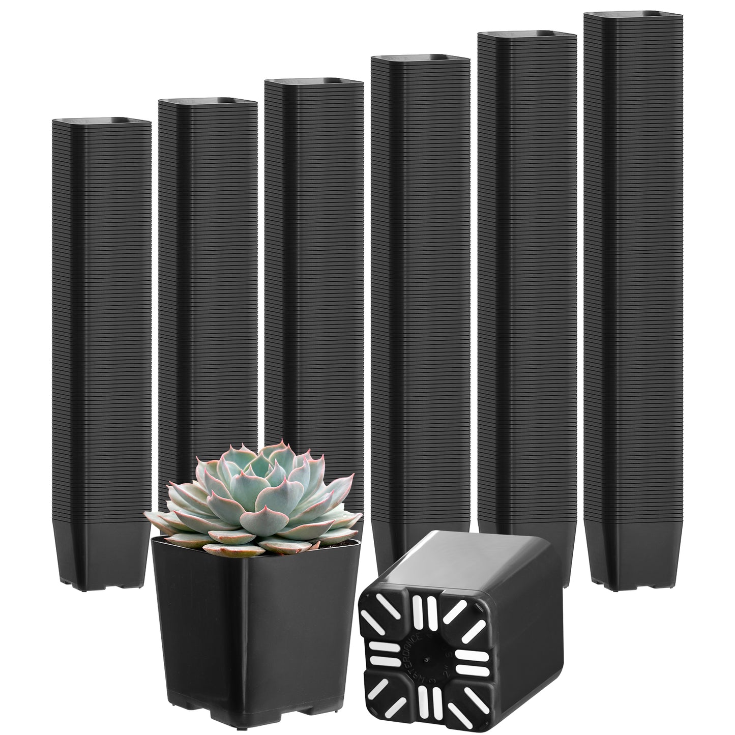 2" Nursery Pots Sets (Only Pots)