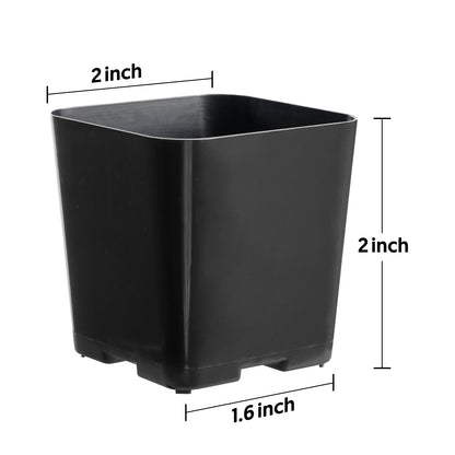 2" Nursery Pots Sets (Only Pots)