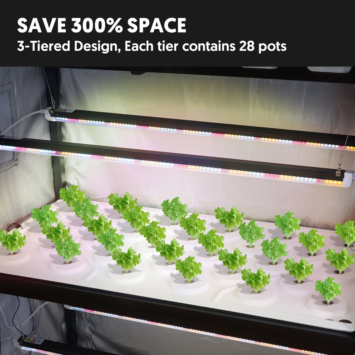 Hydroponic 3-Tier Plant Stand with LED Light & Tent Indoor