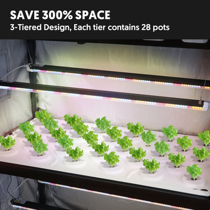 Hydroponic 3-Tier Plant Stand with LED Light & Tent Indoor