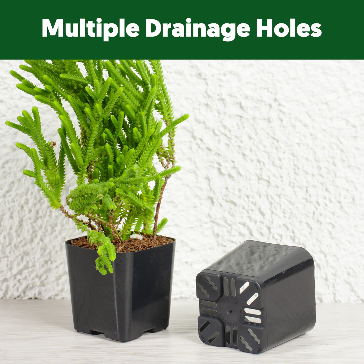 2" Nursery Pots Sets (Only Pots)