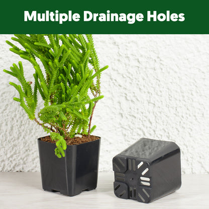 2" Nursery Pots Sets (Only Pots)