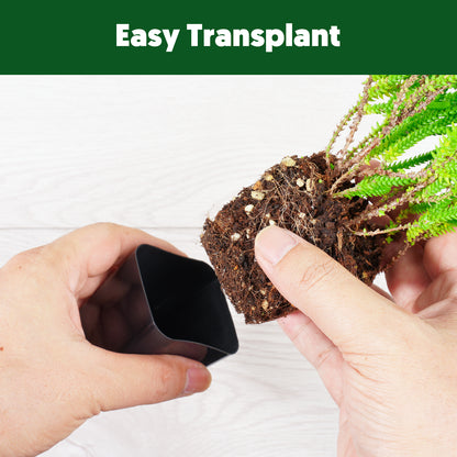 2" Nursery Pots Sets (Only Pots)