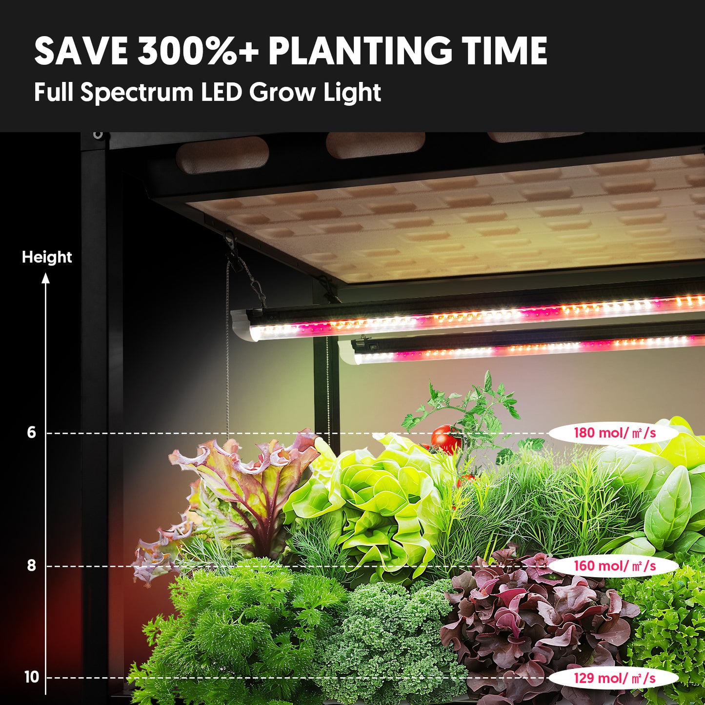 Indoor 3-Tier Greenhouse with Full Spectrum LED Light