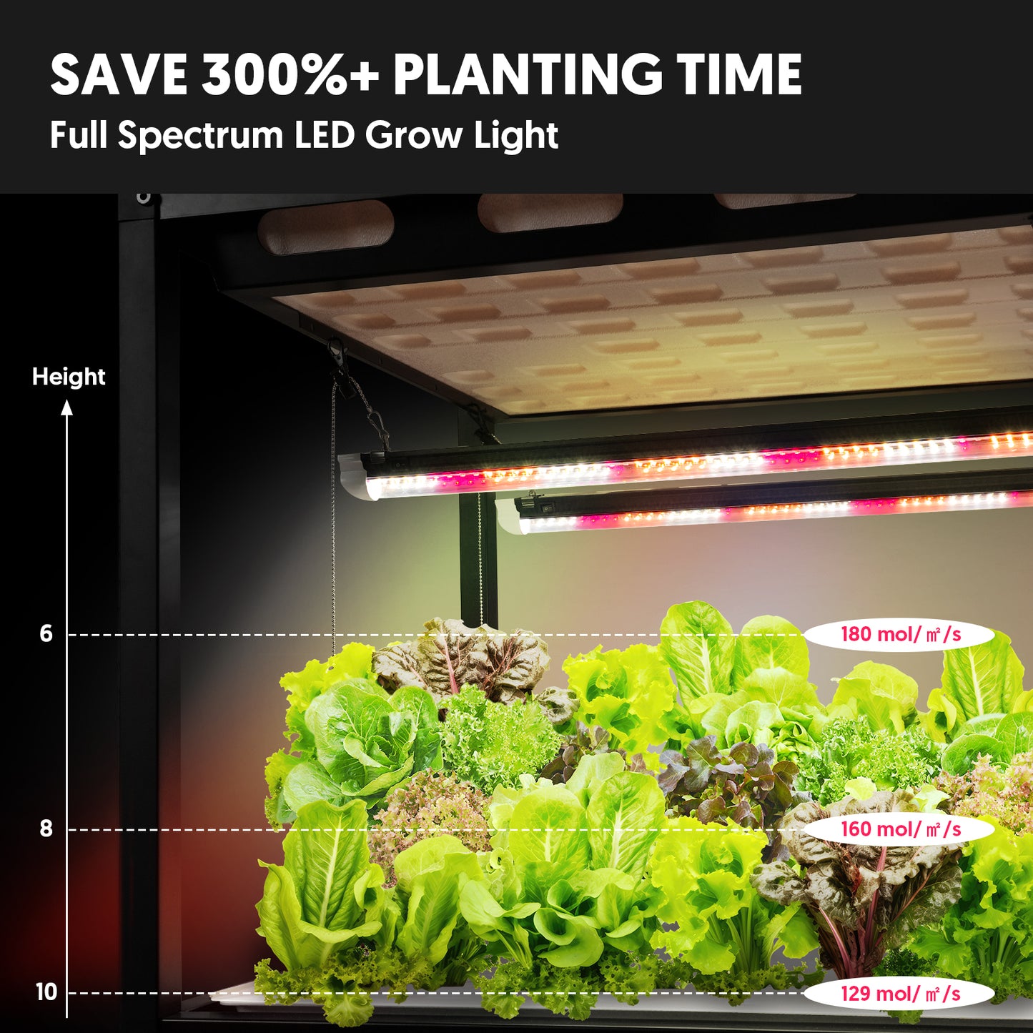 Hydroponic 3-Tier Plant Stand with LED Light & Tent Indoor