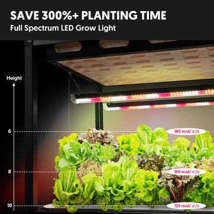 Hydroponic 3-Tier Plant Stand with LED Light & Tent Indoor