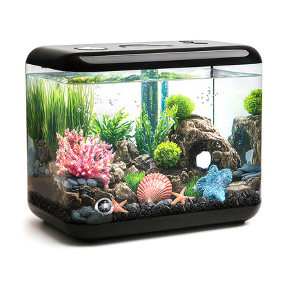 Black Pebbles, Polished River Rocks Small Gravel Stones, 9mm-12mm