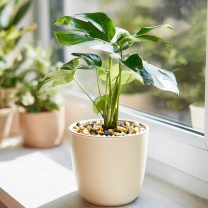 Mixed Pebbles, Polished River Rocks Small Gravel Stones, 8mm-12mm