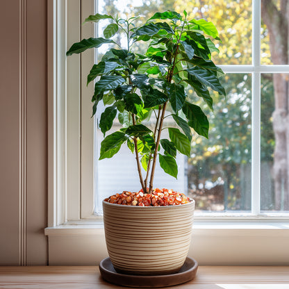 Red Crystal Pebbles, Polished River Rocks Decorative Rock, 5mm-8mm
